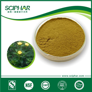 Damiana extract