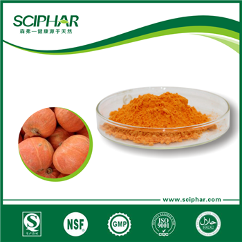 南瓜營養(yǎng)粉