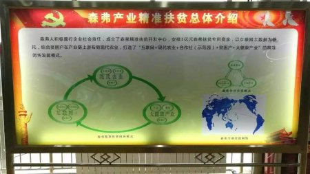 陜西森弗：億萬資金助力扶貧