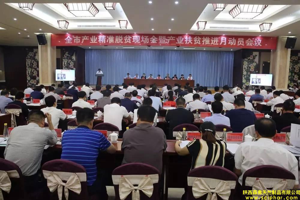 熱烈祝賀陜西森弗被評(píng)為商