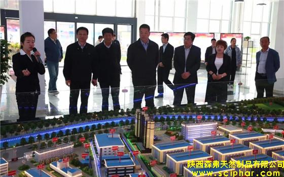 南京市棲霞區(qū)人大常委會(huì)主任陳潑帶團(tuán)考察森弗產(chǎn)業(yè)園蘇陜扶貧協(xié)作項(xiàng)目