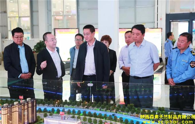 陜西省食品藥品監(jiān)督管理局黨組書記、局長張小