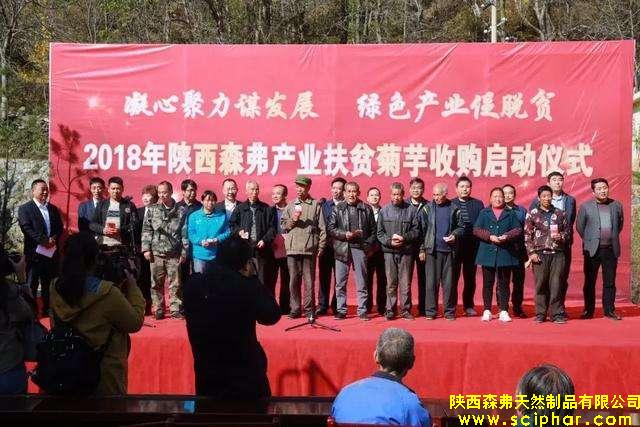 凝心聚力謀發(fā)展 綠色產(chǎn)業(yè)促脫貧”2018森弗集團產(chǎn)業(yè)扶貧菊芋收購工作正式啟動。